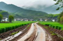 烟雨兰山示范带：一条公路激活一片山，乡村振兴的城关样板