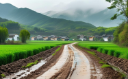 烟雨兰山示范带：一条公路激活一片山，乡村振兴的城关样板