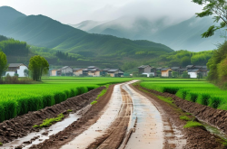 烟雨兰山示范带：一条公路激活一片山，乡村振兴的城关样板